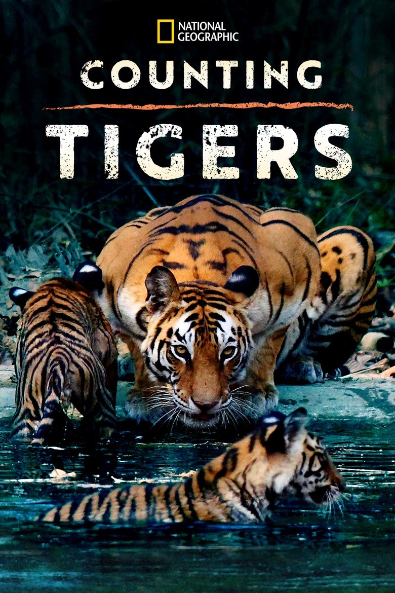 Poster of Counting Tigers