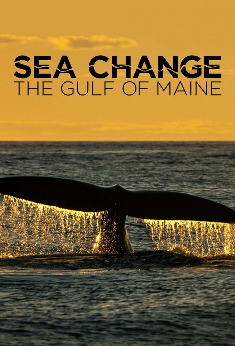 Poster of Sea Change: The Gulf of Maine
