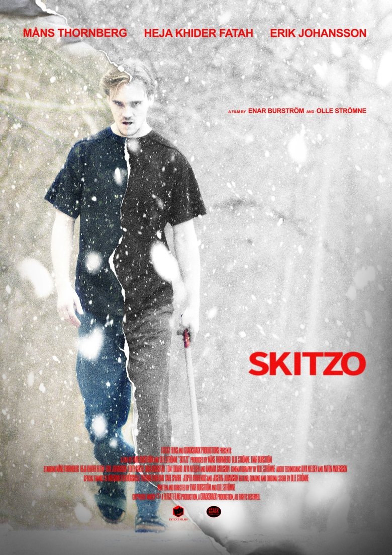 Poster of Skitzo