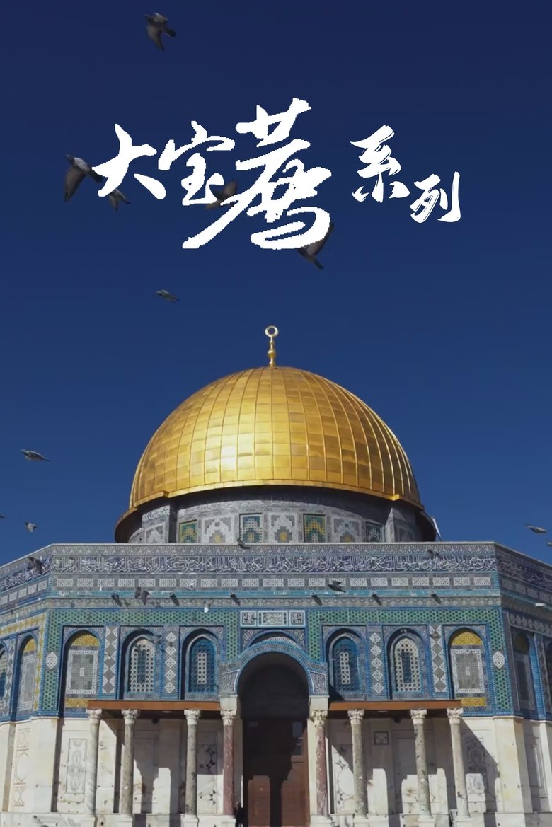 Poster of 大宝荐系列