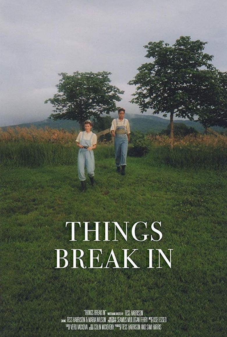 Poster of Things Break In