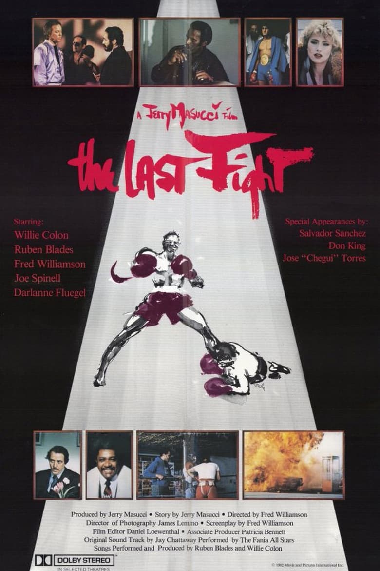 Poster of The Last Fight