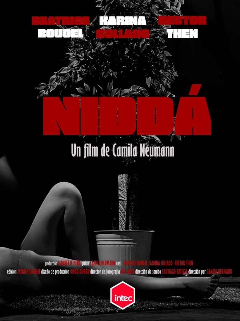 Poster of Niddá