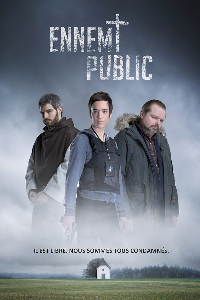 Poster of Public Enemy