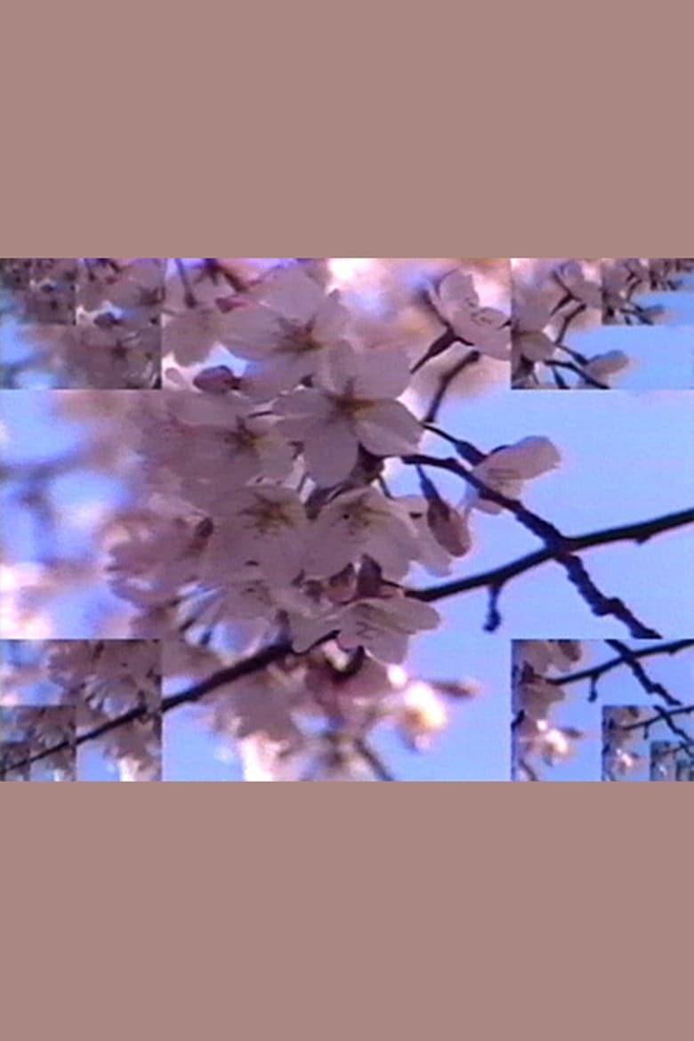 Poster of Rock Video: Cherry Blossom