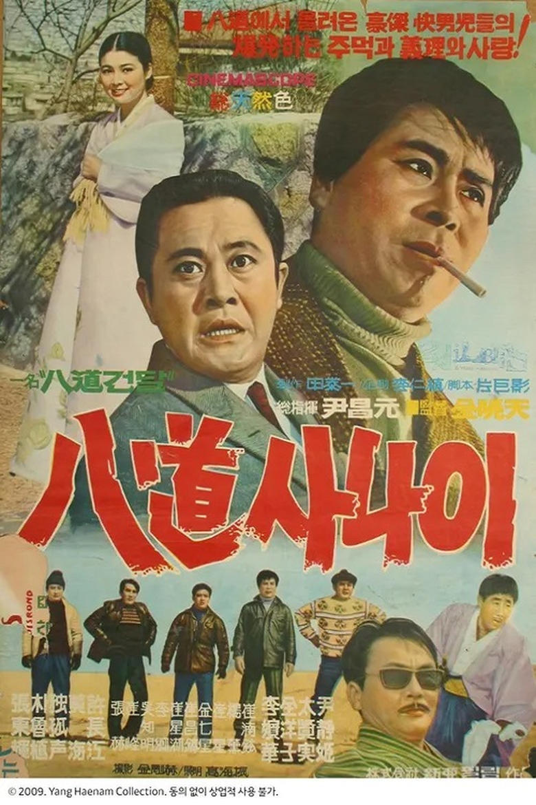 Poster of 속 팔도사나이