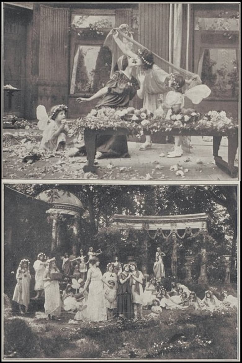 Poster of Le mariage de l'amour