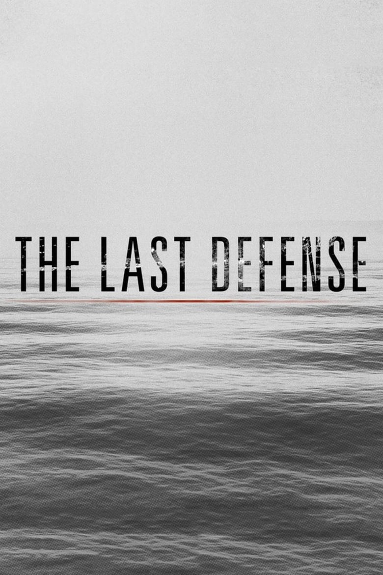 Poster of The Last Defense