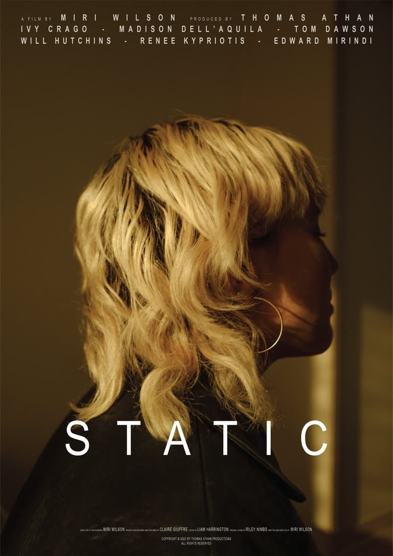 Poster of Static