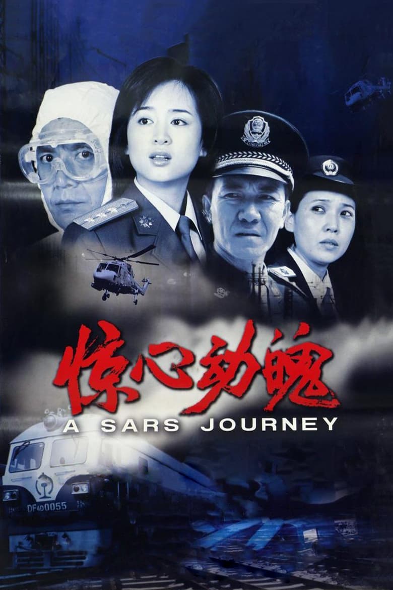 Poster of A SARS Journey