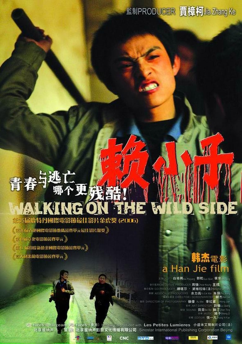 Poster of Walking on the Wild Side