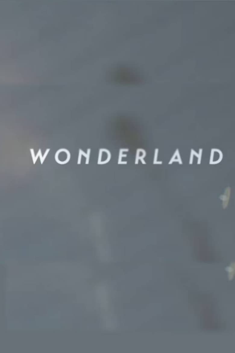 Poster of Wonderland | A Short Form Doc on Creative Commerce