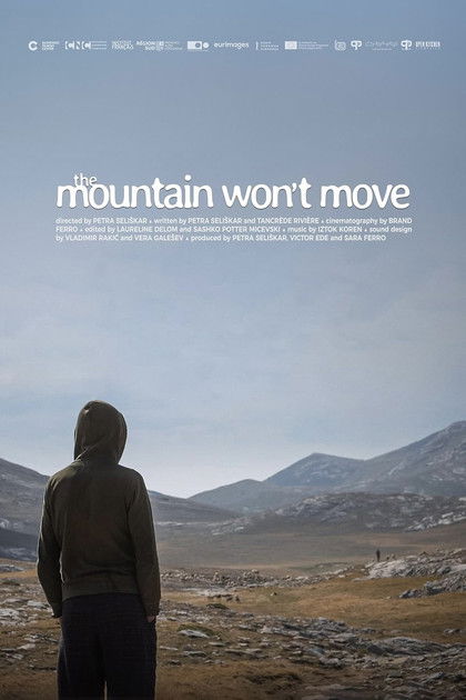 Poster of The Mountain Won’t Move