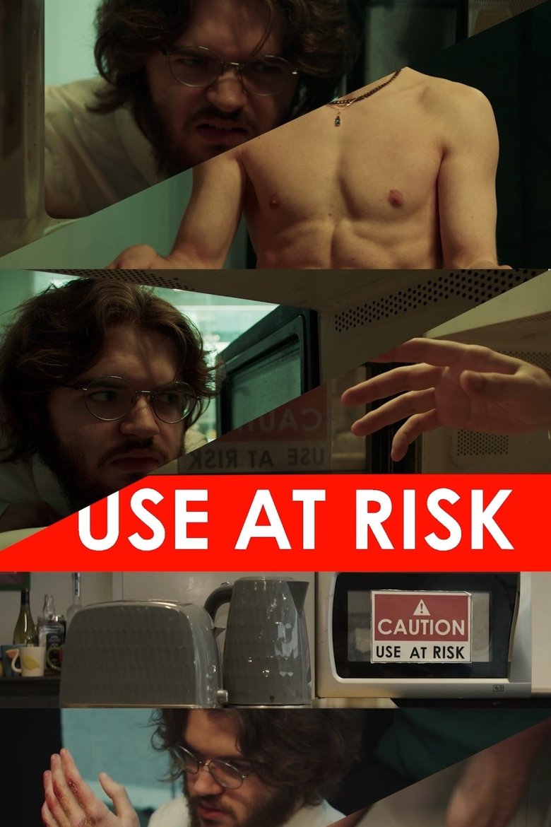 Poster of Use At Risk