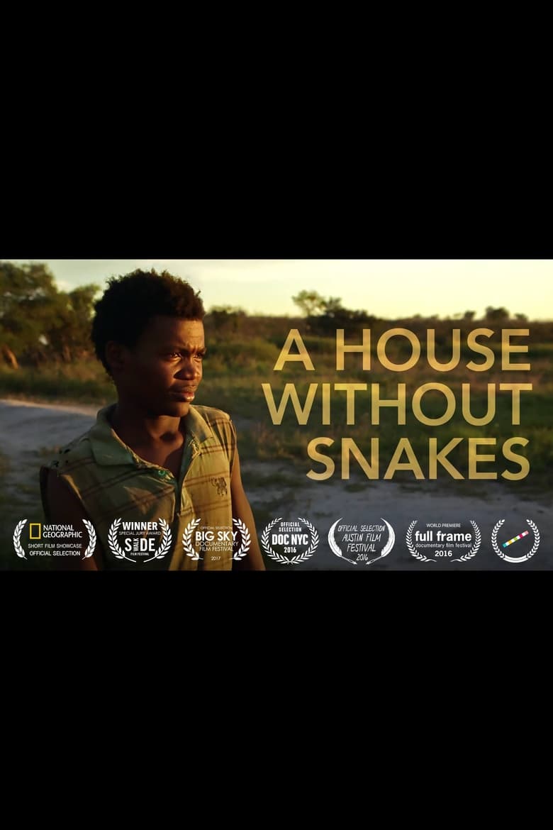 Poster of A House Without Snakes