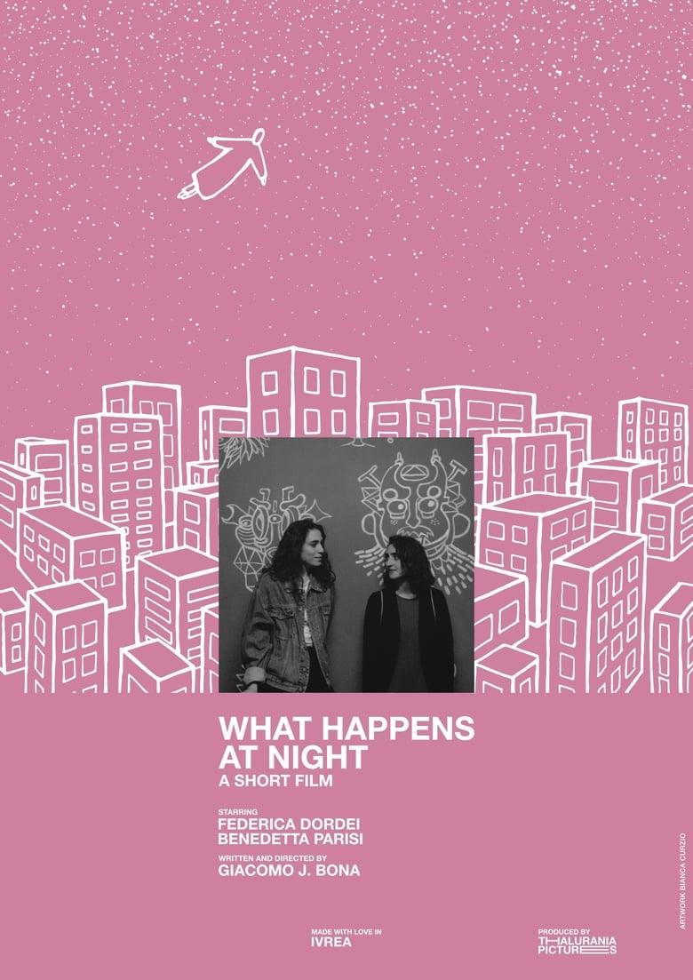 Poster of What Happens at Night