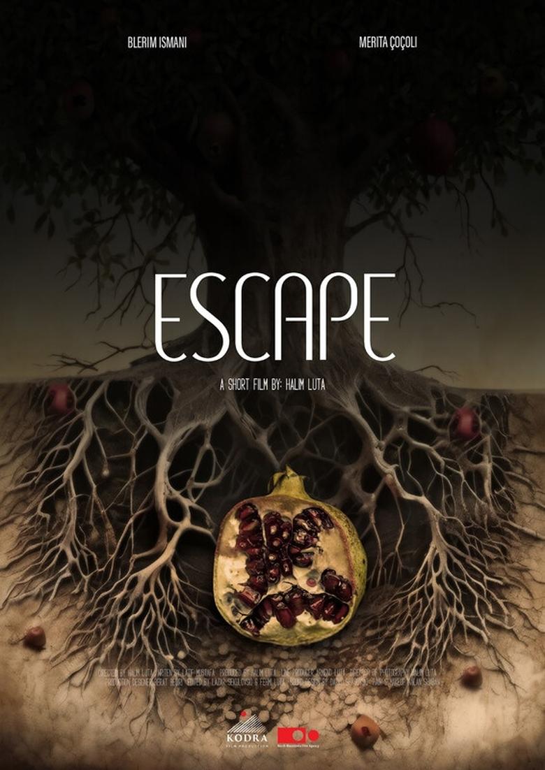 Poster of Escape