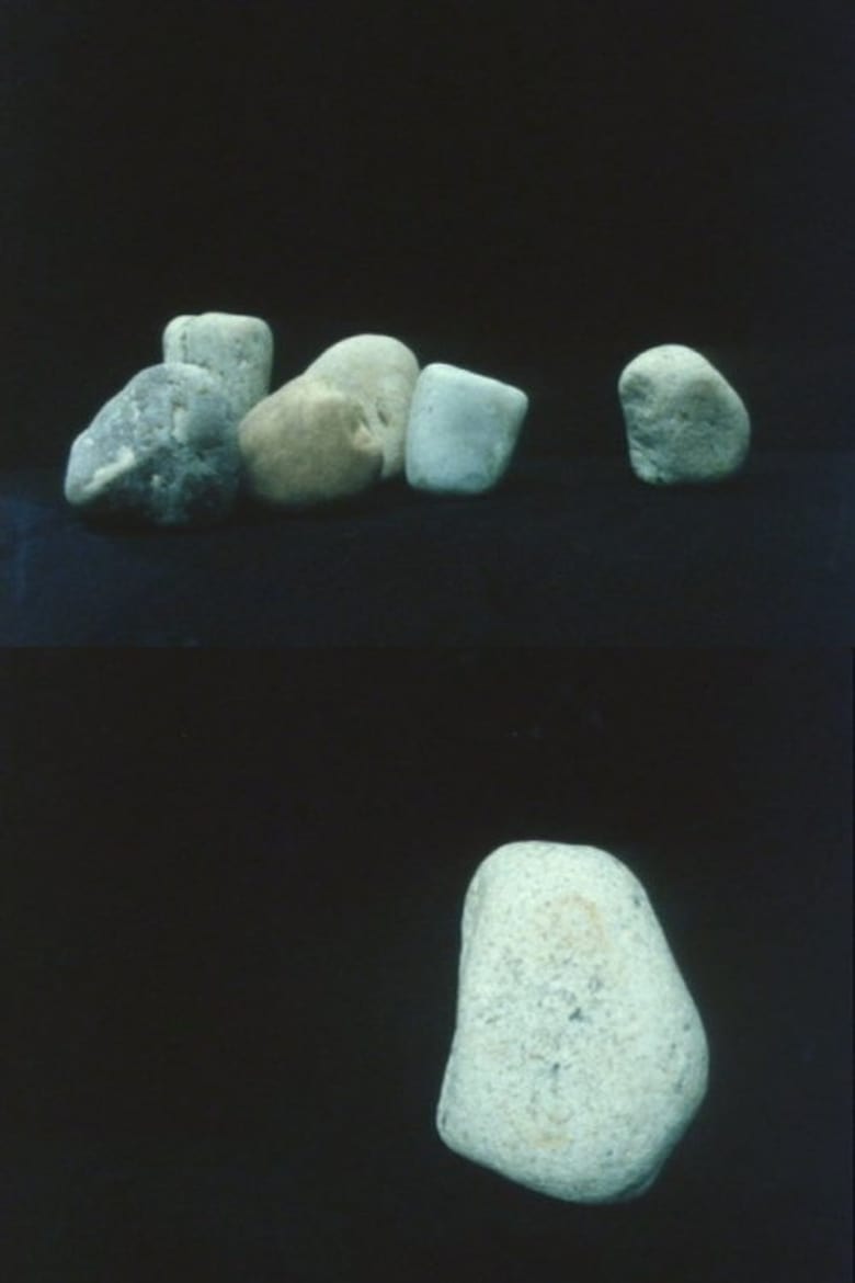 Poster of Rocks