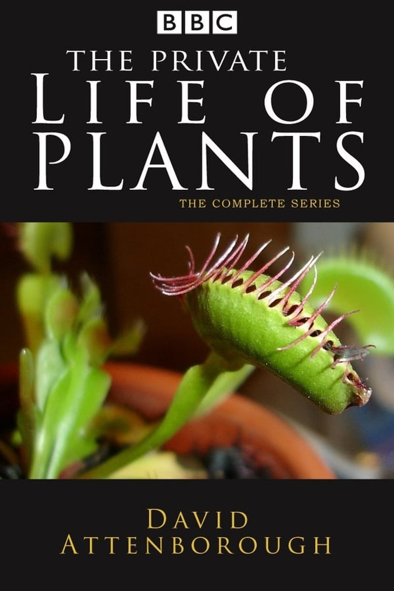 Poster of Episodes in The Private Life Of Plants - Season 1 - Season 1