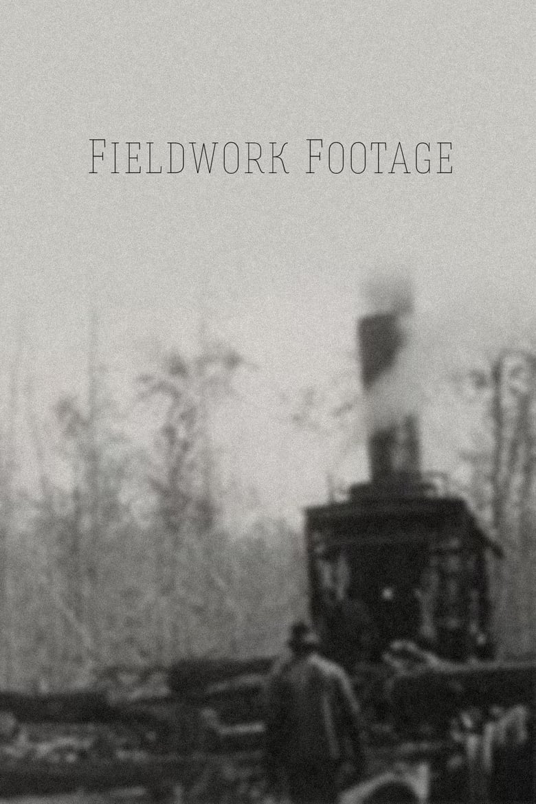 Poster of Fieldwork Footage