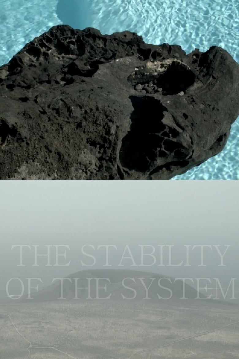 Poster of THE STABILITY OF THE SYSTEM