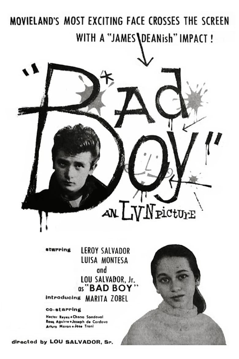 Poster of Bad Boy