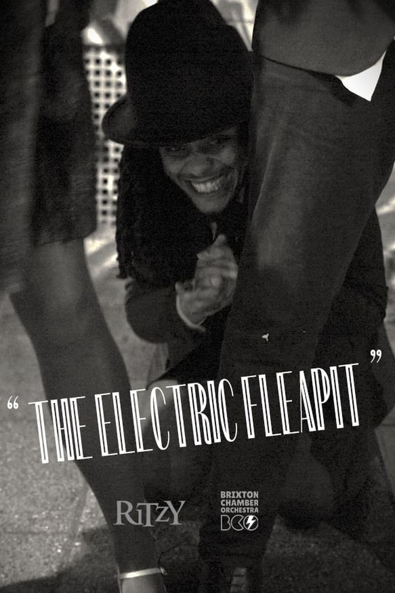 Poster of The Electric Fleapit