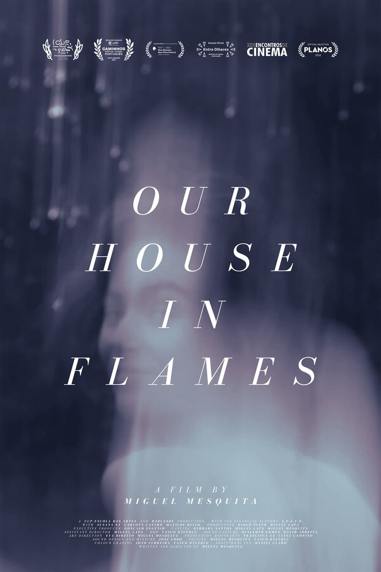 Poster of Our house in flames