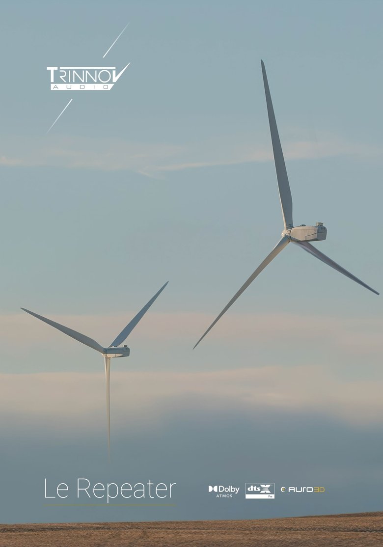 Poster of Le Repeater
