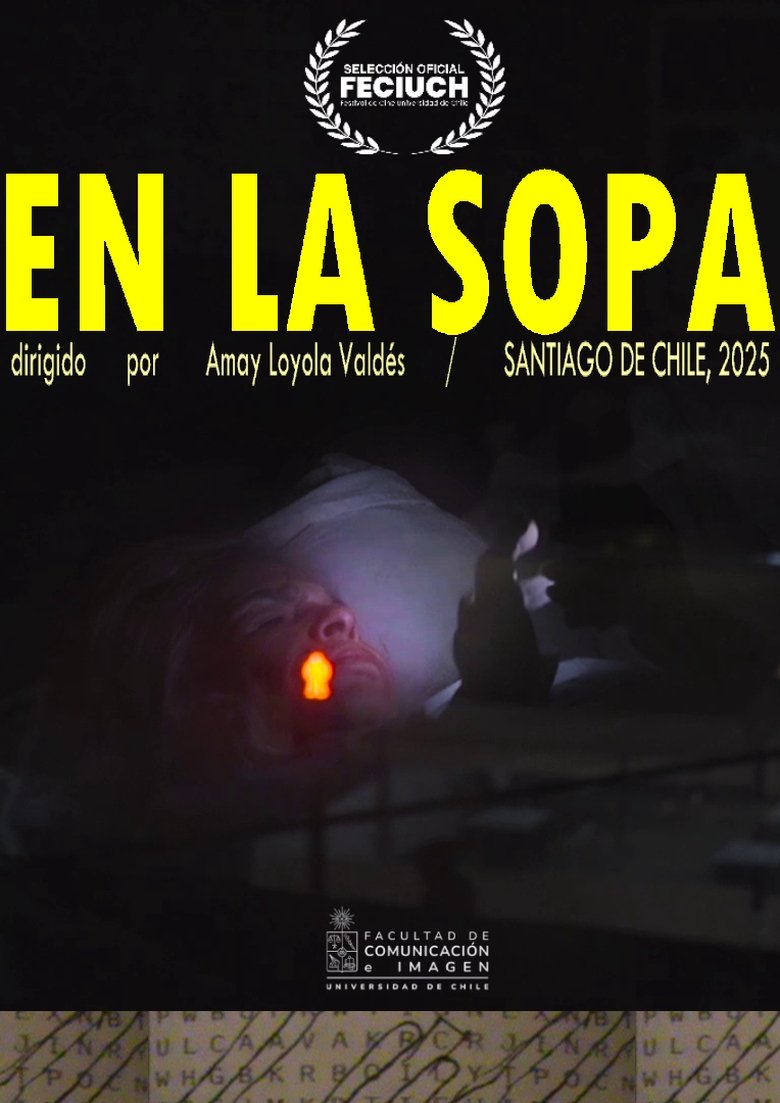 Poster of En la Sopa