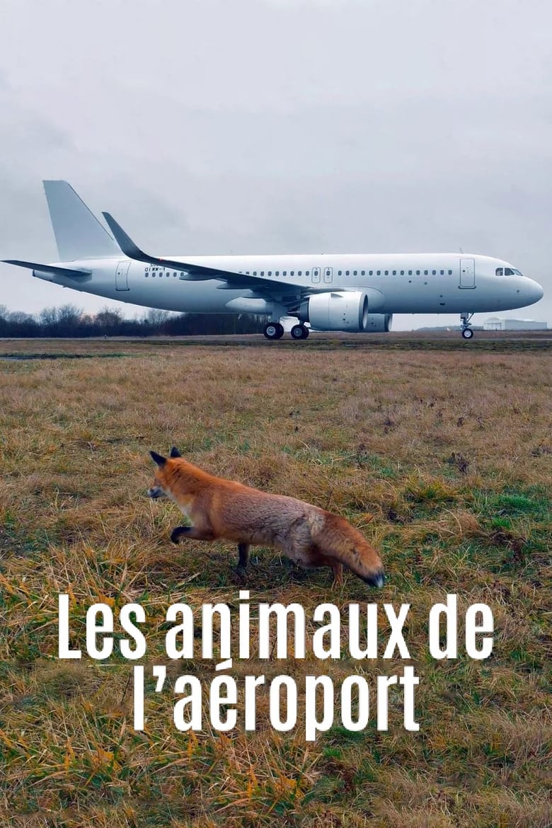 Poster of Airport Animal Stories