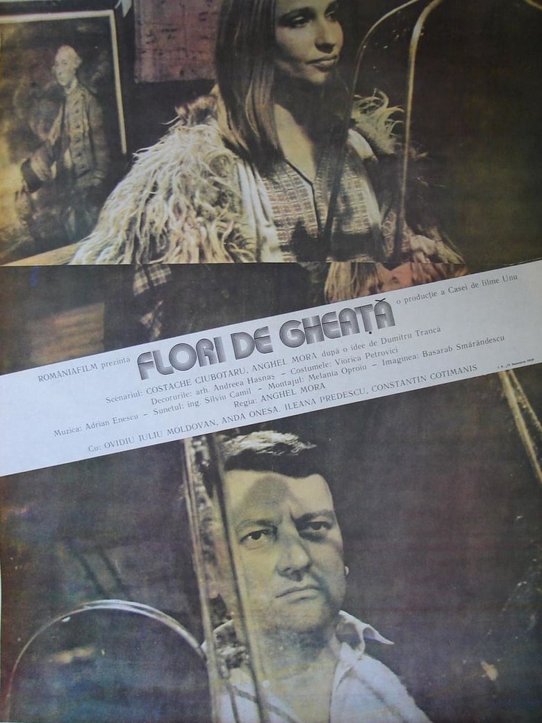 Poster of Flori de gheață