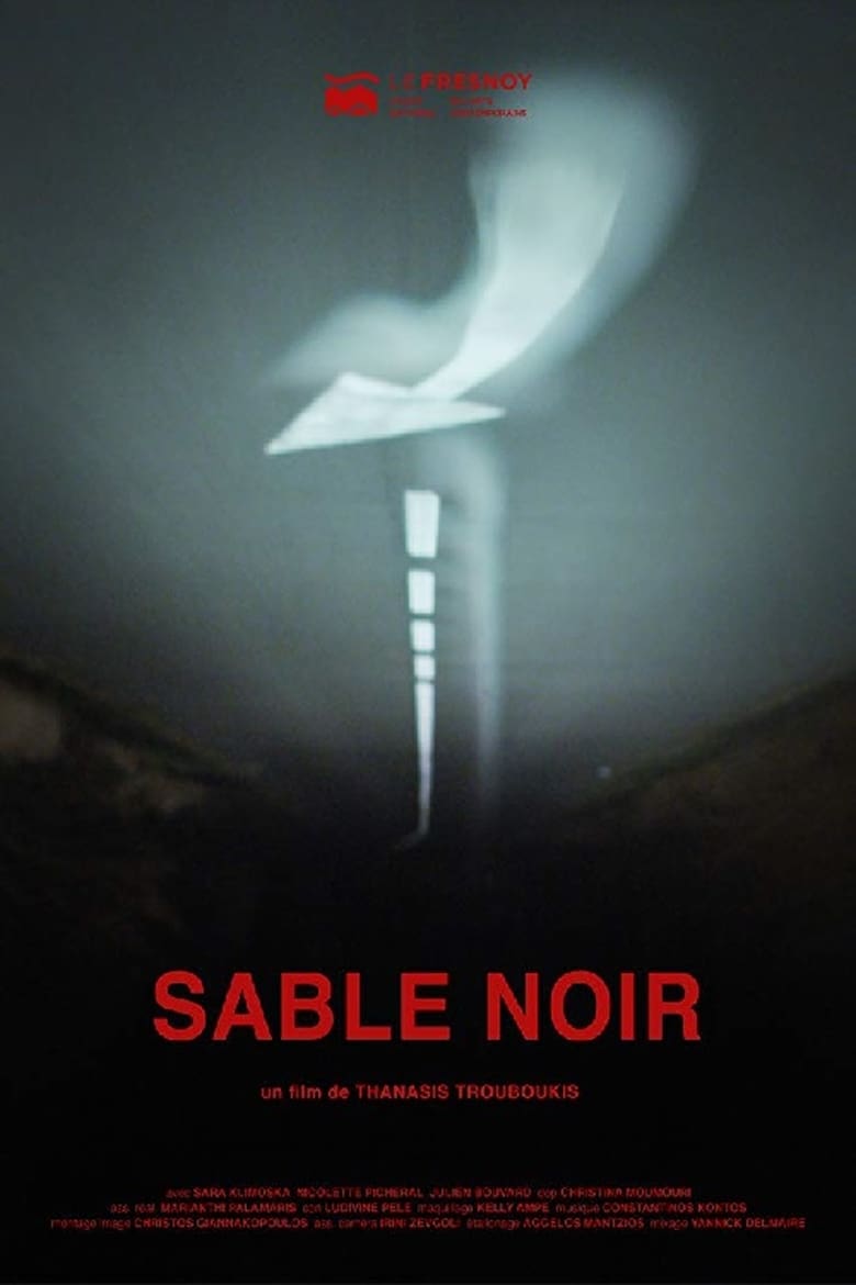 Poster of Sable noir