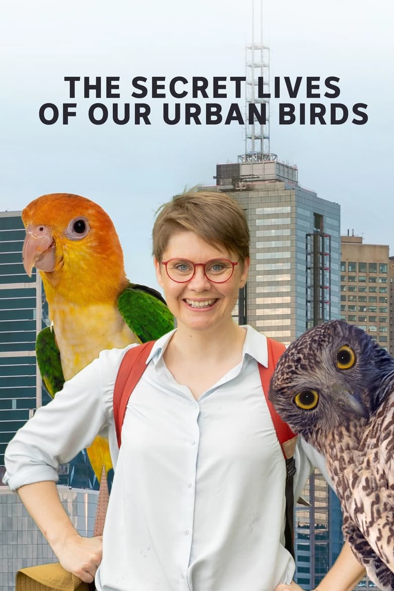 Poster of The Secret Lives of Our Urban Birds