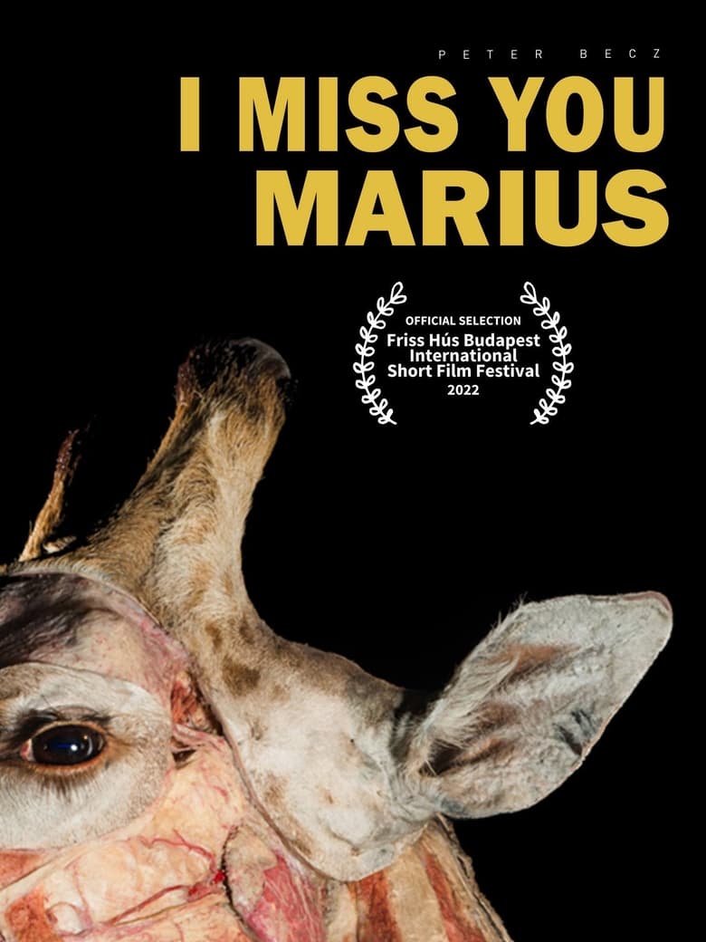 Poster of I Miss You, Marius