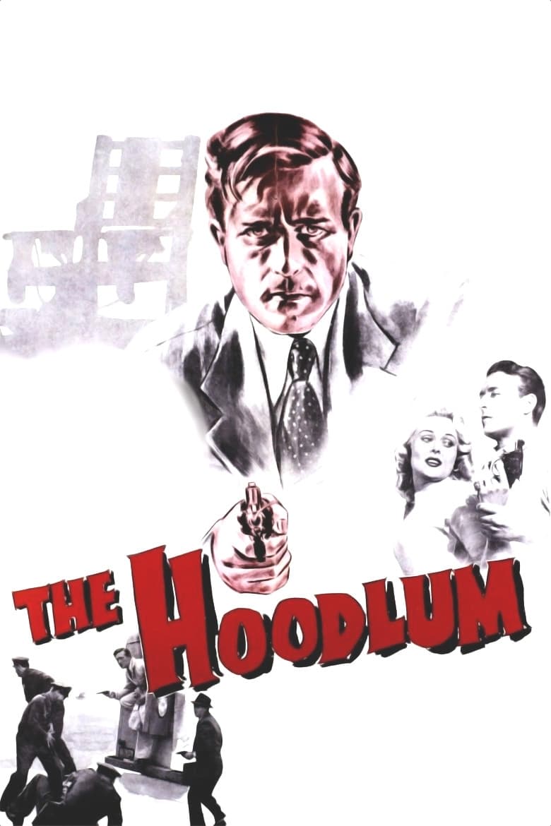 Poster of The Hoodlum