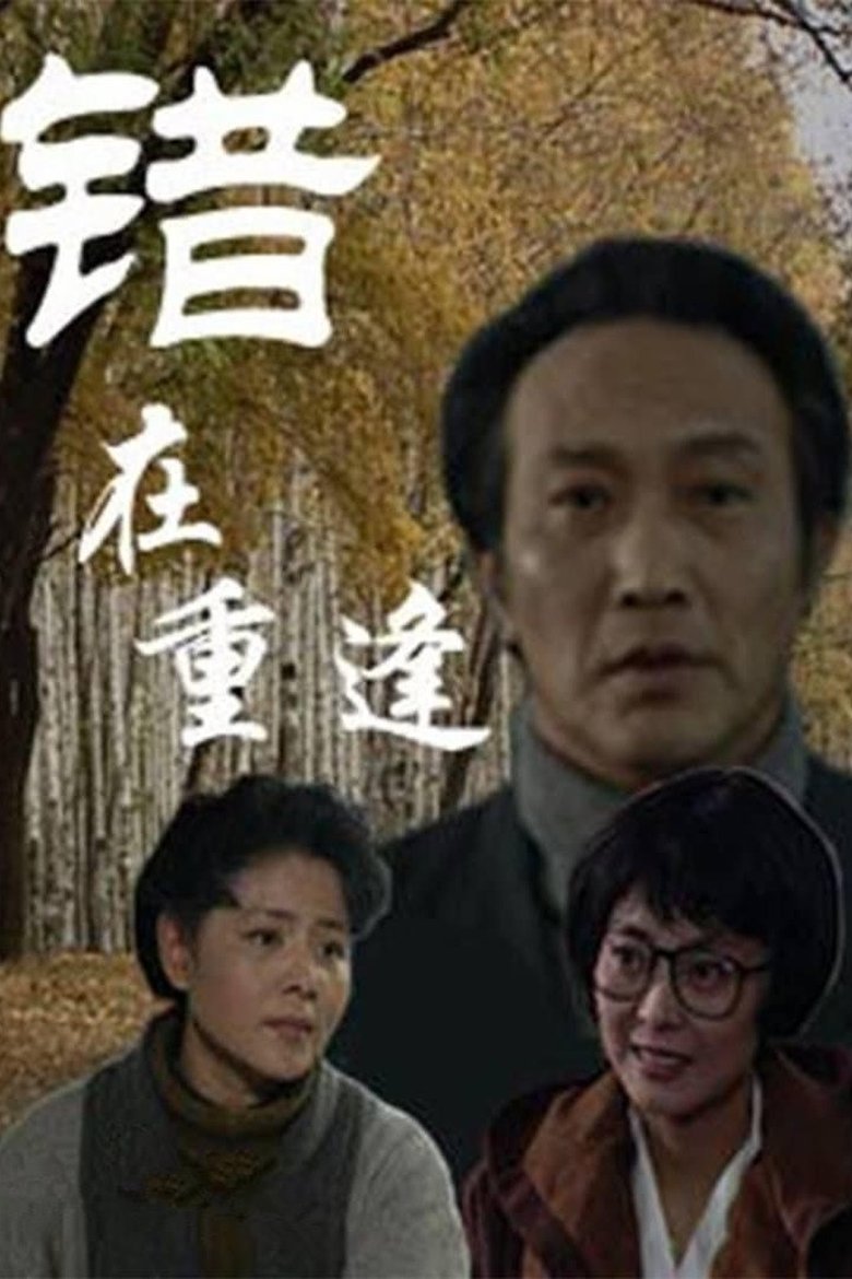 Poster of 错在重逢