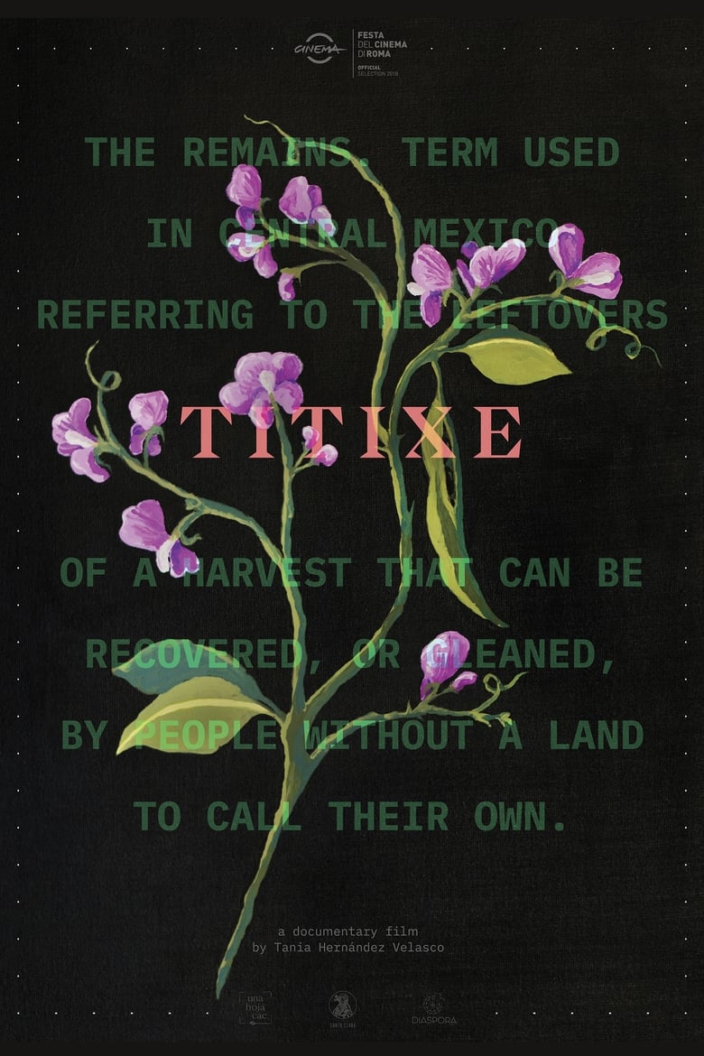 Poster of Titixe