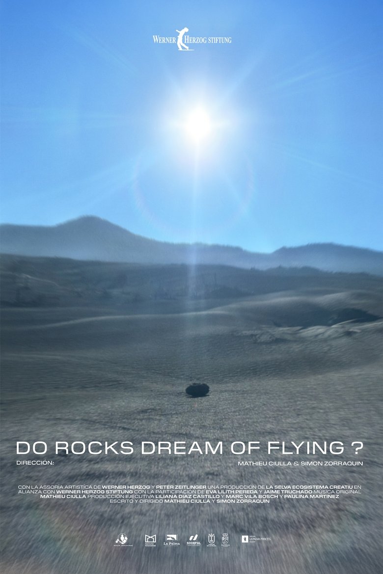 Poster of Do Rocks Dream of Flying ?