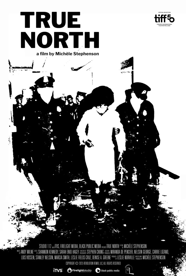 Poster of True North