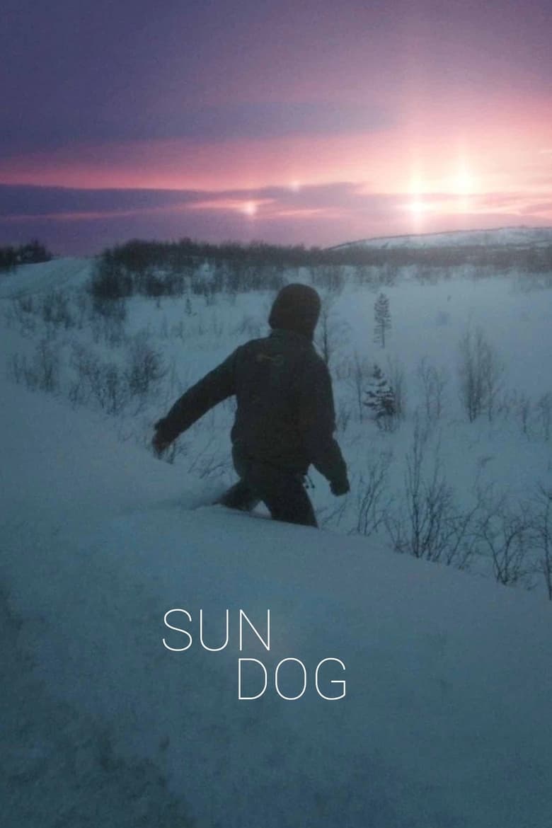 Poster of Sun Dog