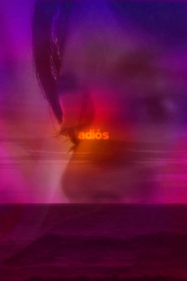 Poster of adiós