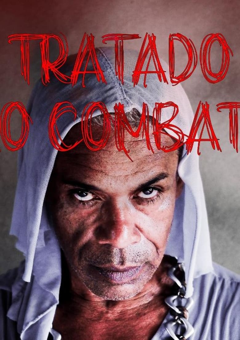 Poster of O Tratado do Vão Combate ou A Pequena História de uma Bixinha Qualquer