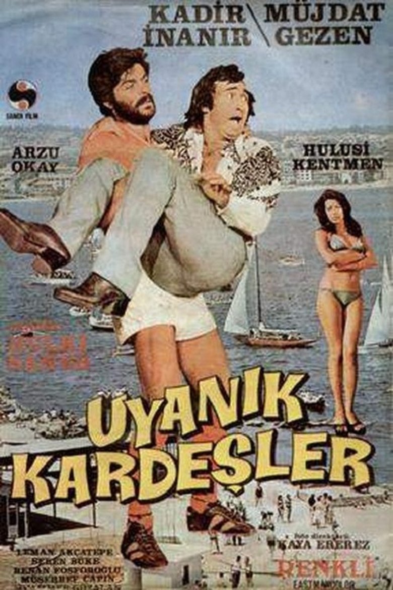 Poster of Uyanık Kardeşler