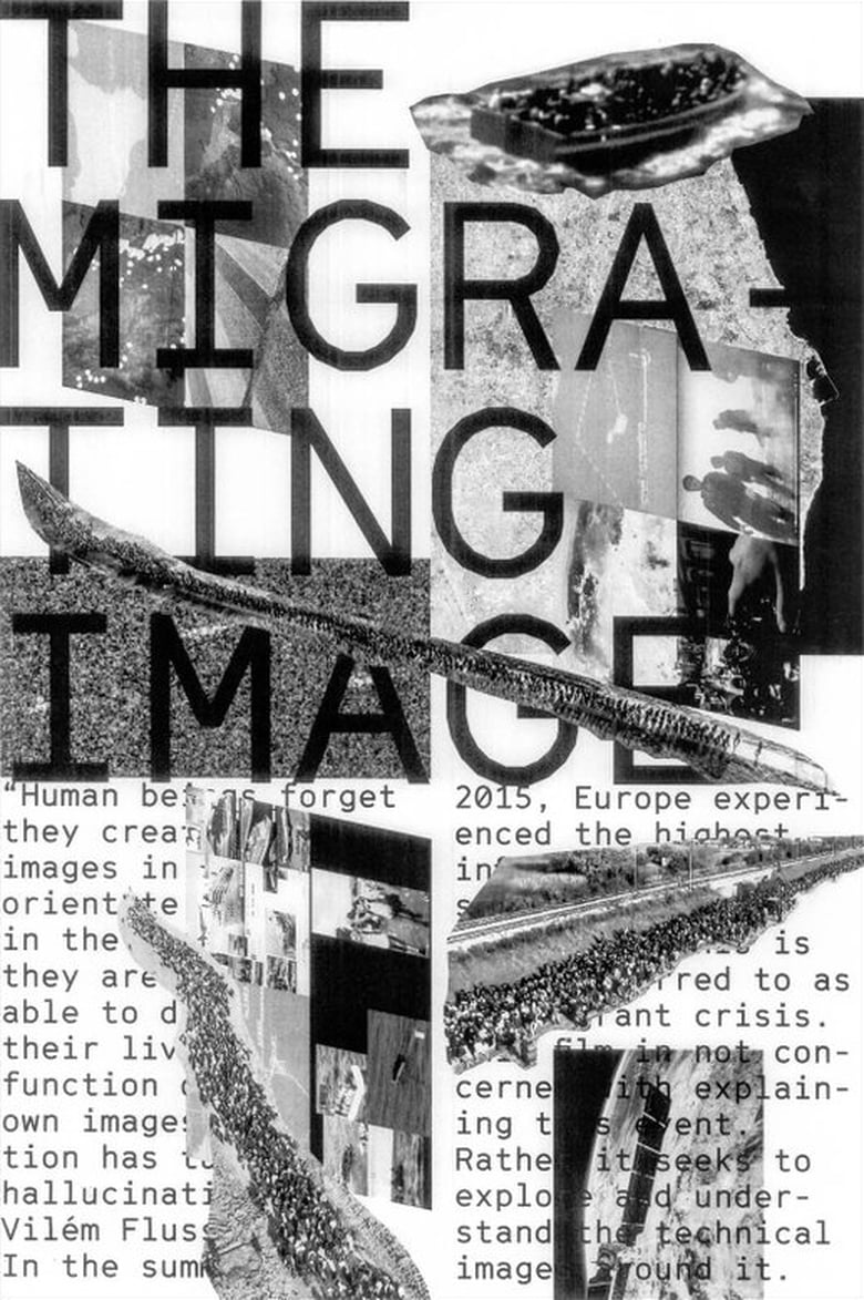 Poster of The Migrating Image