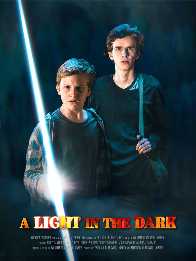 Poster of A Light in the Dark