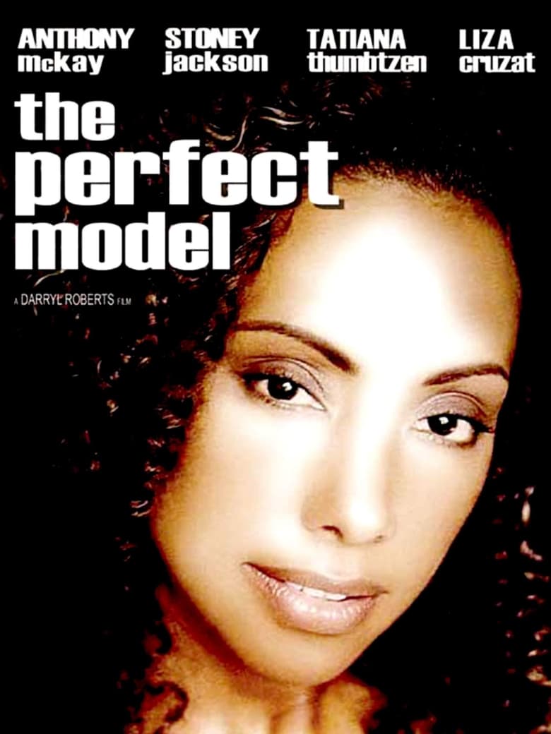 Poster of The Perfect Model