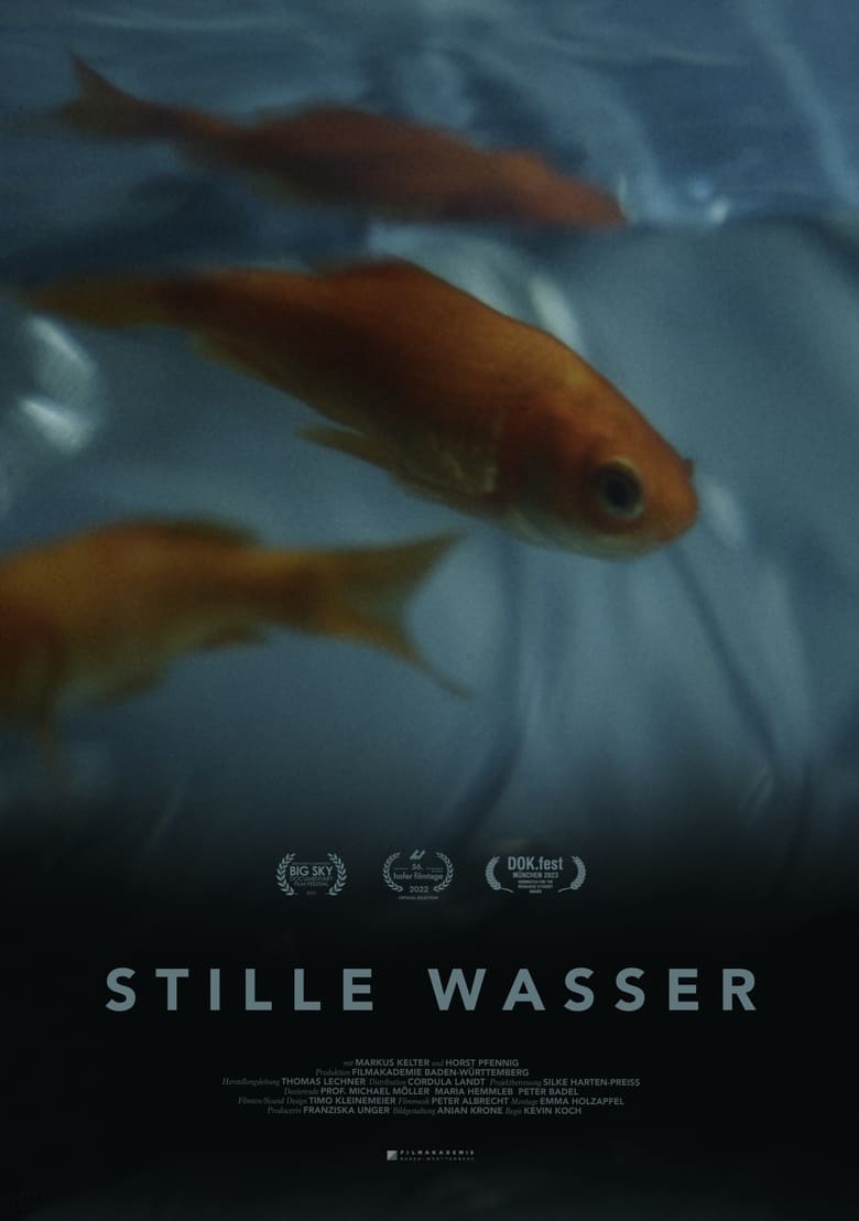 Poster of Silent Waters