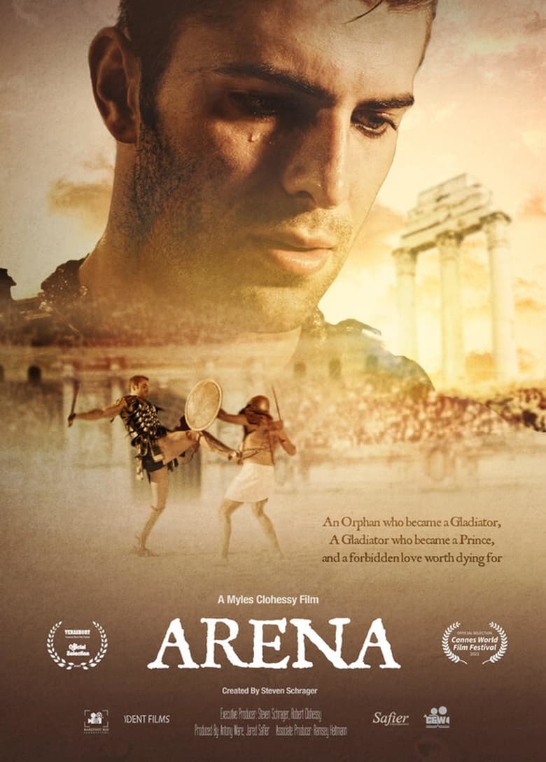 Poster of Arena