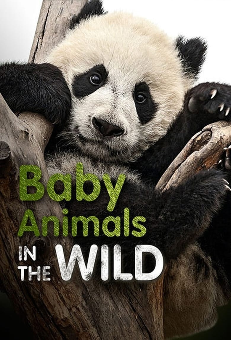 Poster of Baby Animals In The Wild